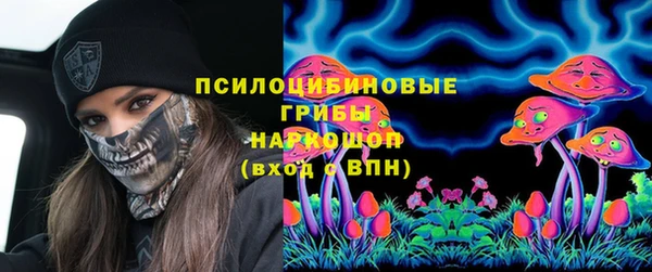ECSTASY Вяземский