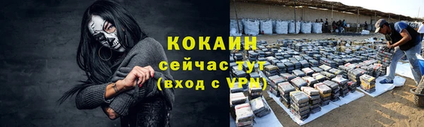 ECSTASY Вяземский